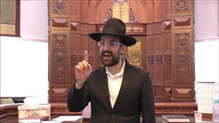הרב מאיר אליהו | איפה קבור רבי חיים ויטל? | ביה״כ משכן יהודה