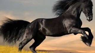 The Rolling Stones Wild Horses Video