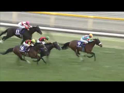 Almond Eye wins the 2020 Autumn Tenno Sho