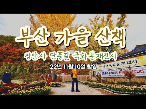 부산 장안사 가을산책