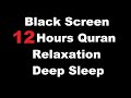 12 Hours Beautiful Quran Recitation | Relaxation Deep Sleep - Stress Relief -  Black Screen