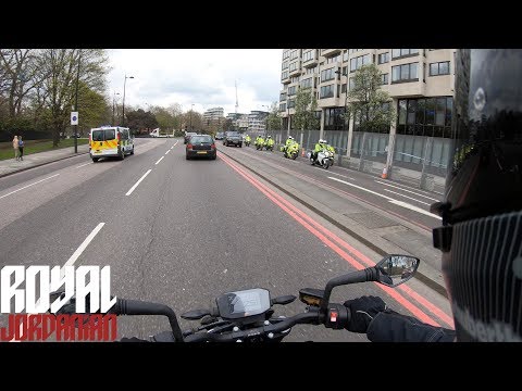 Daily Observations 224