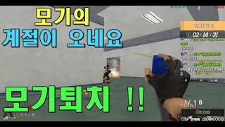 벌써부터 모기들이 나타나네요 에프킬라 장착 [스포][스페셜포스][정수익][GGuMa][스나이퍼][국가대표][SpecialForce][KSF][SF][THSF][FPS][SKT1]