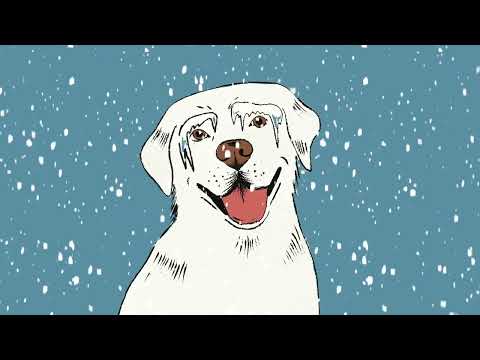 VOSOLIT! - VOSOLIT! - Pes Sníža (acoustic) [OFFICIAL VIDEO]