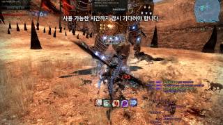 린과 사칼의 전투!