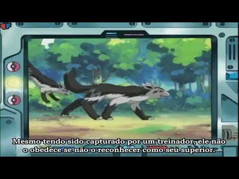 Palestra de Pokémon do Professor Carvalho Mightyena #262 parte 4