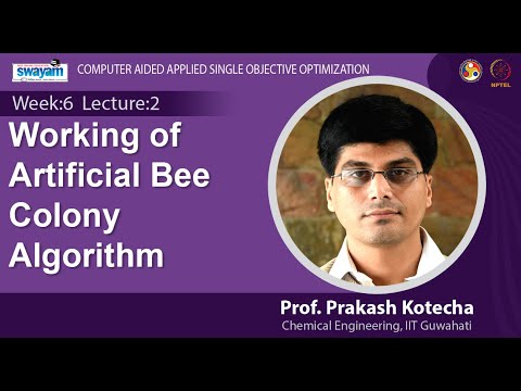 Computer Aided Applied Single Objective Optimization Introduction Video