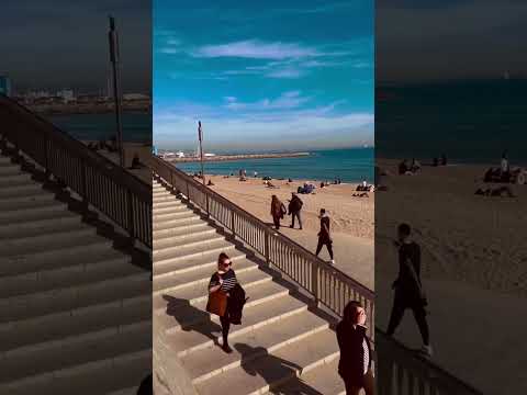 La bellezza della Barceloneta: una domenica al mare #shorts #barcelona