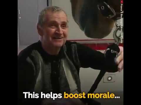 peyo the therapy horse