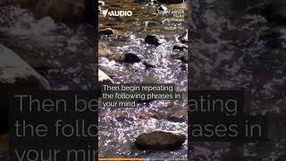 Start your week off right with a 1 min meditation | 'Great Minds' Podcast | SBS Audio