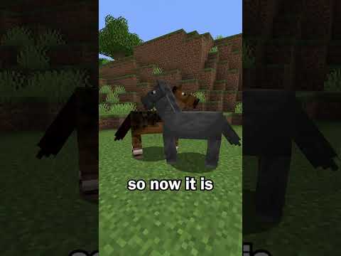 Horse Breeding is Better in Minecraft 1.19.4