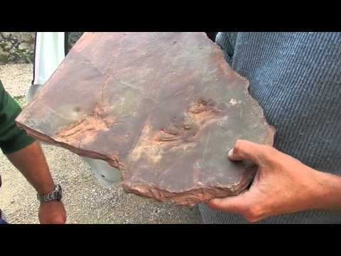 comment participer a des fouilles archeologiques