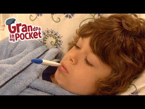 Boy Feels Sick | Grandpa's Busy Bee Day | Grandpa in my Pocket | Ep 125 Clip 1