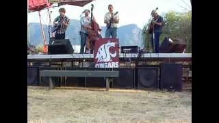 Casey's Song - Train of Thought @ Skamania County Fair