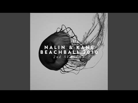Beachball 2010 (Tom De Neef Remix)