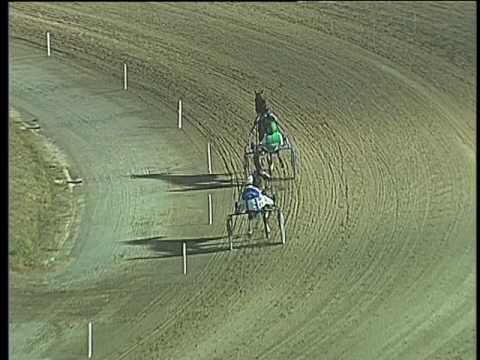 Trotto 22/07/2017 - 3ª prova di qualifica