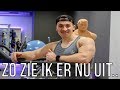 ZO GAAT HET BULKEN NU... (SHAPE UPDATE)