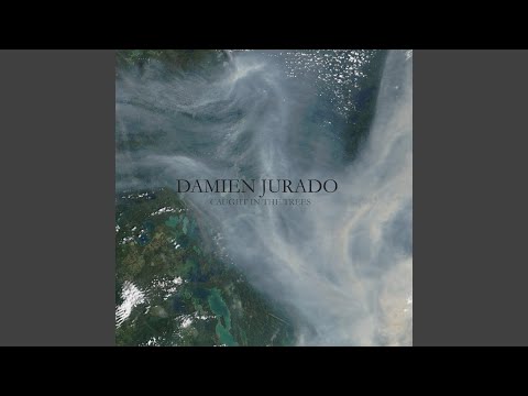 Coats of Ice - Damien Jurado