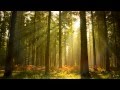 Background Music Instrumental - Piano & Nature ...