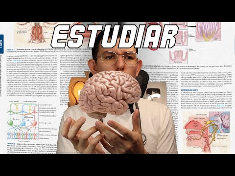 ¿Cómo MEJORAR tu manera de Estudiar? | Drpologuerrero