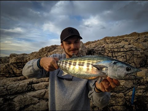 Shore jigging on Island of Vis - Jizz on the Vis expedition 2 - part 2