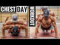 Chest Workout for Size and Strength | Push Day Workout for Mass | Weighted Calisthenics