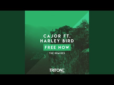 Free Now (Moyan Remix)