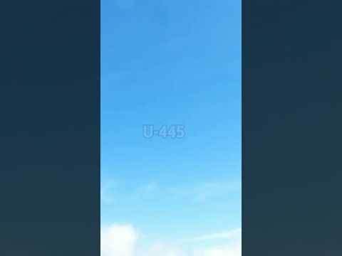 Recondiționare U445 DT