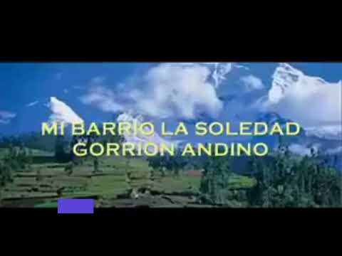 GORRION ANDINO ÉPOCA DE ORO Callejón de Huaylas ANCASH