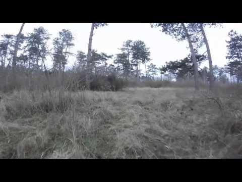 Tretrollerausfahrt 2015-01-18