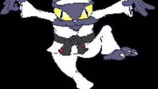 SHITDISCO- I Know Kung Fu