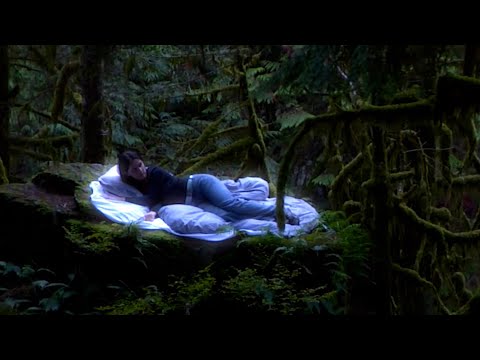 Sassy 009 - Mirrors ft. yunè pinku