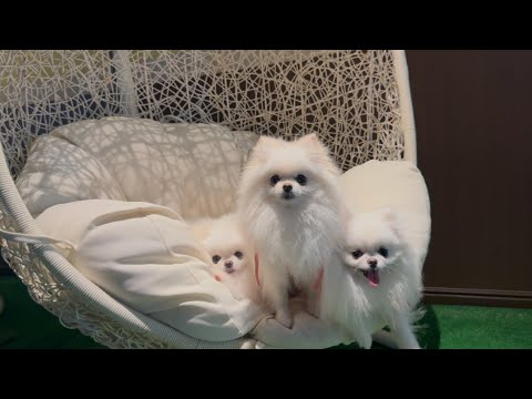 Melvina Tiara relaxing at a cafe