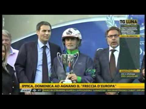 Agnano trotto, Ringostarr Treb nel gp Freccia d'Europa (23/10/2016 Tg Tv Luna).