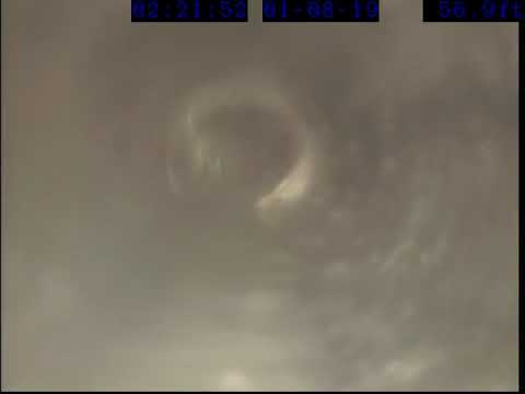 62881 Wightman St 1/14/19