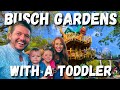 Busch Gardens With A Toddler Tampa Bay Florida
