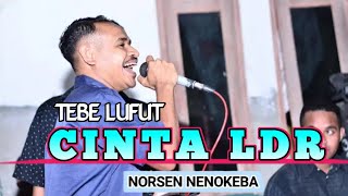 Download lagu TEBE LUFUT // CINTA LDR // COVER NORSEN NENOKEBA  mp3