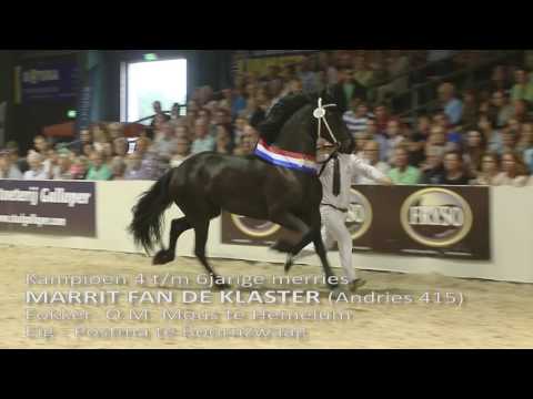 Kampioenschap Centrale keuring 2016