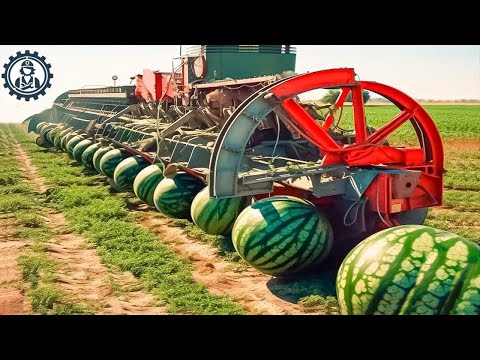 Satisfying Videos Food Processing Machines That At Another Level ▶120