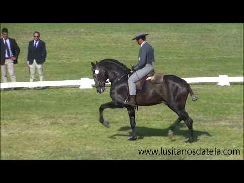 Hercules d'Atela FIPSL 2017