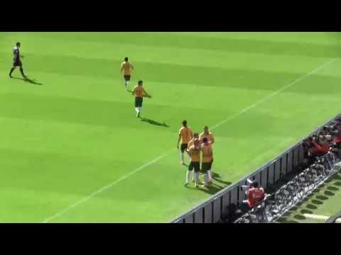 Amazing goal Tim Cahill agains the Netherlands (world cup 2014)