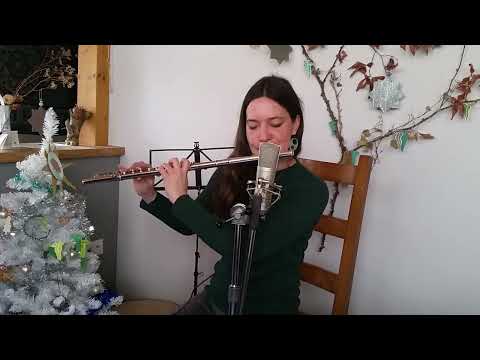 🍀 Irish Music on Silver Flute | Tunes in the Kitchen | The Lively Wagtail ✨