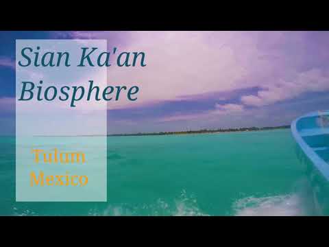 ✅ Sian ka'an biosphere reserve quintana roo tulum 2024