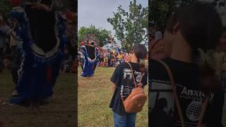 Download lagu Barongan BUCIN ... #jaranan #shorts #trending #viral mp3 Download lagu Barongan BUCIN ... #jaranan #shorts #trending #viral mp3