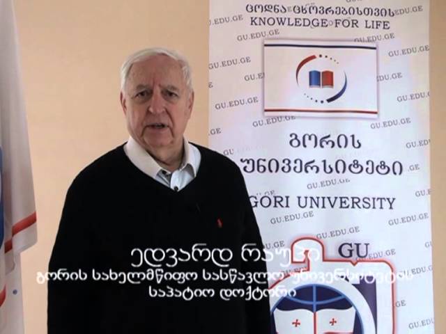 Gori State Teaching University video #2