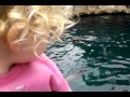 Ornery Stellar Sea Lions