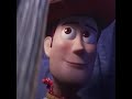 Toy Story 4 AD Woody