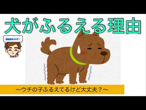 震えている犬はなぜ立ち上がれないのでしょうか?
