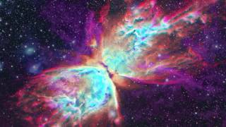 Rameses B - Butterflies