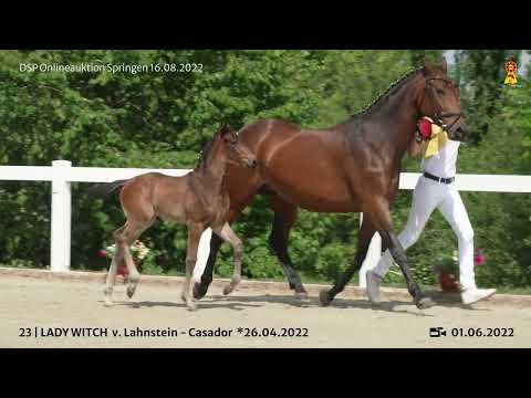 23 Lahnstein Casador